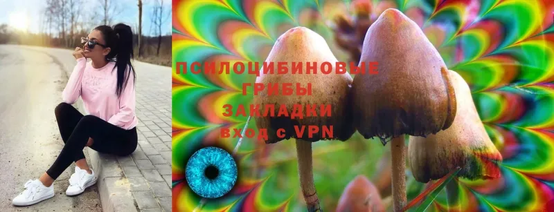 kraken ссылки  Коммунар  Псилоцибиновые грибы MAGIC MUSHROOMS  хочу наркоту 